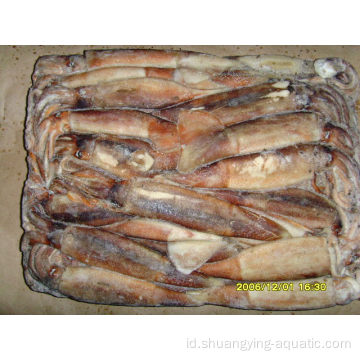 Frozen Squid Illex Argentina untuk Grosir